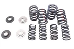 Screamin' Eagle High Lift Valve Spring Kit. Fixed Price $189.99.