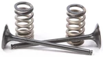Pro-x Steel Exhaust Valves And Springs Kit 28.SES6329-1 Ktm 250SX-F 2008-2011. Fixed Price $139.99.