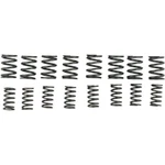 Kibblewhite Valve Springs Standard 40-0449. Fixed Price $72.22.