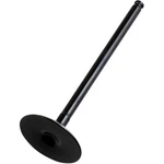 Vertex Titanium Intake Valve (8400030-2). Fixed Price $88.36.