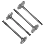 Intake & Exhaust Valve For Yamaha YFM700R Raptor 2006-2020. Fixed Price $40.00.