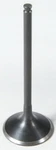 Kibblewhite Black Diamond Exhaust Valve 96-96216. Fixed Price $48.99.
