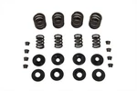 Sifton Valve Spring Kit For Harley-davidson. Fixed Price $123.99.