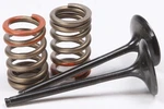 Pro X 28.SIS4341-2 Steel Valves And Spring Kits Intake. Fixed Price $155.95.