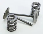 Pro-x Steel Valves And Spring Kits Intake 28.SIS4409-2. Fixed Price $149.99.