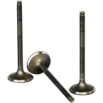 Wiseco Stainless Steel Exhaust Valve VES003. Fixed Price $41.19.