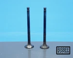 Suzuki 80-83 Oem GS750 Cylinder Head Exhaust Valves (2 Pc) -d-. Fixed Price $24.99.
