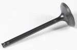 Kpmi 40-40316 Black Diamond Exhaust Valve. Fixed Price $46.21.
