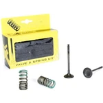 Pro Steel Exhaust Valve And Spring Kit 28.SES2402-1. Fixed Price $139.99.