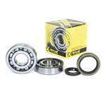 Suzuki Rm 250 1996-1999 Pro X Crankshaft Bearing And Seal Kit 23.CBS33096. Fixed Price $71.99.