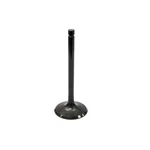 Bronco Products AU-09000I Atv Intake Valve. Fixed Price $17.95.
