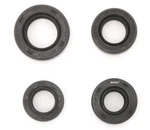 Engine Oil Kit - Honda CB/CL/SL/XL100 CB/CL125S SL/TL/XL125 4 Seals. Fixed Price $14.95.