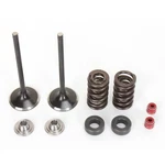 Moose Intake Valve Kit 0926-2432. Fixed Price $217.95.