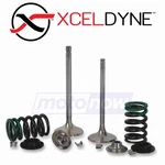 Xceldyne X2SIVM42002 Single Intake Valve For Engine Train Vb. Fixed Price $49.27.