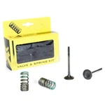 Pro-x Steel Exhaust Valve/spring Kit For Yamaha YZ250F 2001-2013 28.SES2402-1. Fixed Price $139.99.