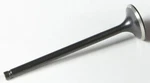 Kibblewhite Black Diamond Intake Valve Standard 30-30088. Fixed Price $63.99.