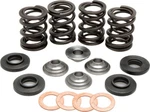 Kibblewhite Valve Spring Kit 96-96000. Fixed Price $174.99.