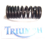 Triumph Spring Valve Exhaust Or Outlet 2001. Fixed Price $16.36.