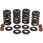Kibblewhite Spring Kit Twin Cam/xl 20-20364. Fixed Price $134.94.