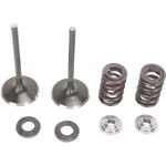 Moose Offroad Intake Valve Kit 0926-2428. Fixed Price $196.95.