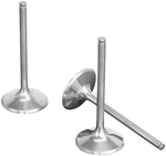 Pro-x 28.1409-1 Exhaust Valve Steel. Fixed Price $48.72.