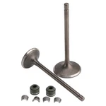 Valve Set Inlet & Exhaust For CG250 Chinese Atv Quad Go Kart Dirt Pocket Bike. Fixed Price $15.99.