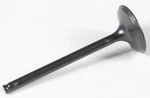 Kpmi 40-40316 Black Diamond Exhaust Valve. Fixed Price $45.82.