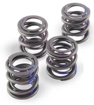 Andrews High-lift Valve Springs 1974"/80" Motors Harley 272110. Fixed Price $77.99.