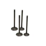 Ahl Intake Exhaust Valve Set For Suzuki LTZ400 2003-2009 (2 Pairs). Fixed Price $131.31.