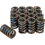 Speedway Racing Valve Springs, 1.25 Inch O.d., SET/16. Fixed Price $70.99.