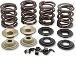 Kibblewhite Complete Valve Spring Kit .600IN Lift 20-21100. Fixed Price $144.99.
