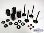 Stainless Steel Intake And Exhaust Valves With Spring Kit Honda Crf 450X 05-15. Fixed Price $269.95.