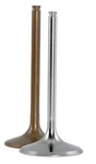 Del West Titanium Intake Valve (1MM Oversize) - Center DWYFZ450R11IV03. Fixed Price $140.35.