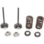 Moose Stainless Intake Valve & Spring Kit (0926-2441). Fixed Price $196.95.