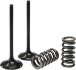 Psychic Intake Valve Spring Kit Yamaha 10-13. Fixed Price $73.95.