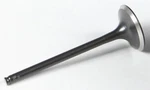 Kpmi 30-30225 Black Diamond Exhaust Valve. Fixed Price $39.87.
