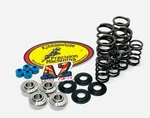 Suzuki Sm Kibblewhite Race Titanium Valves Springs Kit Head. Fixed Price $133.78.