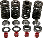 Honda CRF250R Kibblewhite Race .0350 Lift Titanium Valve Spring Kit 2008-2009. Fixed Price $179.95.