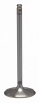 Kpmi 30-32816K Exhaust Valve White Diamond Ss. Fixed Price $55.20.