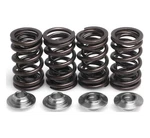 Kibblewhite Lightweight Racing Valve Spring Kit 82-82012 Predator/outlaw 500. Fixed Price $138.95.