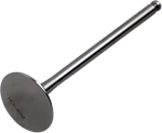 Del West DW-RMZ250-EV07 Valve Exh 07-10. Fixed Price $143.92.