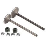 Valve Set Inlet & Exhaust For CG200 GS200 Dirt Bike Pocket Atv Quad. Fixed Price $15.62.