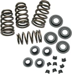 S&s Cycle 900-0050 Spring Kit .650". Fixed Price $229.46.