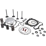 Kibblewhite 30-32700 Piston System W/ Stainless Steel Valves. Fixed Price $660.02.