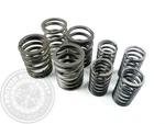 Valve Spring Set, Inner & Outer Bsa A50/A65 1966-72. Fixed Price $38.20.