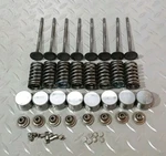 Suzuki GSX650F 2008 - 2016 Cylinder Head Intake Valve Kit Spring Shims Tappets. Fixed Price $40.38.