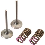 Pro X 28.SIS1336-2 Steel Intake Valve/spring Kit. Fixed Price $140.83.