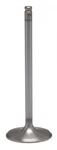 Kibblewhite Precision Intake Valve Std Diamond Fits RMZ450 60-60270H 36MM. Fixed Price $29.99.