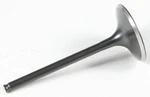 Kibblewhite Black Diamond Valve Standard Intake 30-31262. Fixed Price $36.99.
