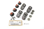 Harley Davidson Sportster Xl From 2004 Valve Spring Kit 18013-03A A5849. Fixed Price $158.43.